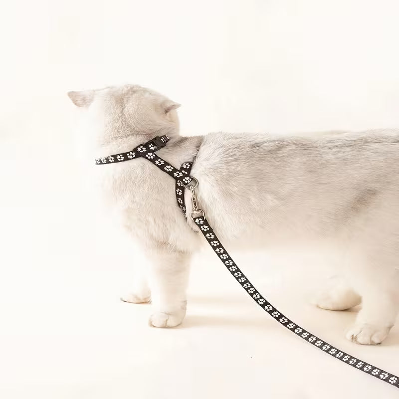 T-Shaped Anchor Chain Leash