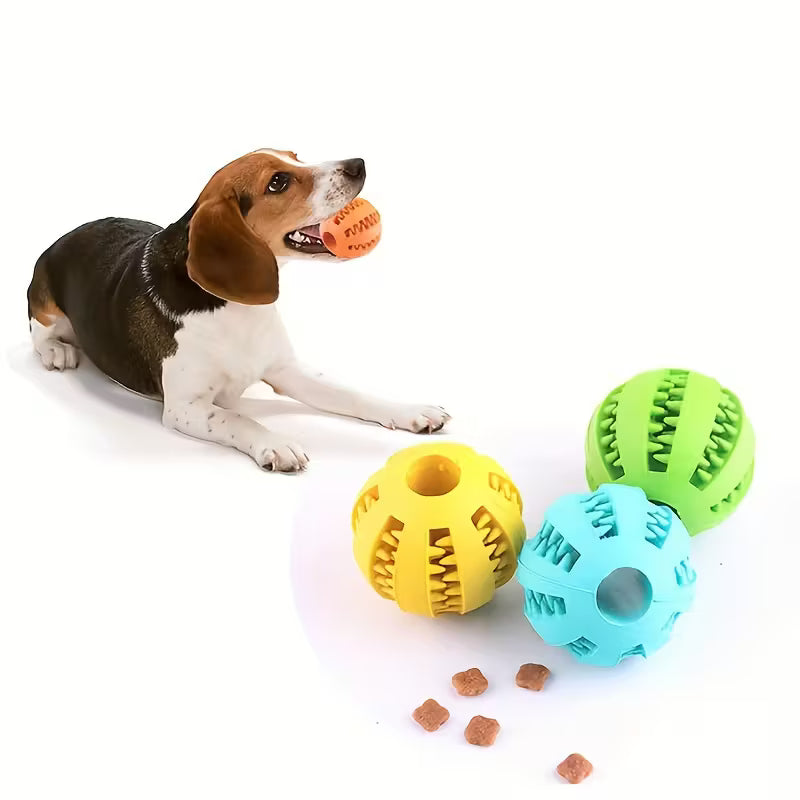 Elastic Dog Ball Chew Toy