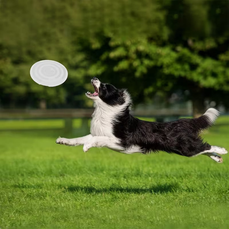 Portable Foldable Dog Bowl with Lid