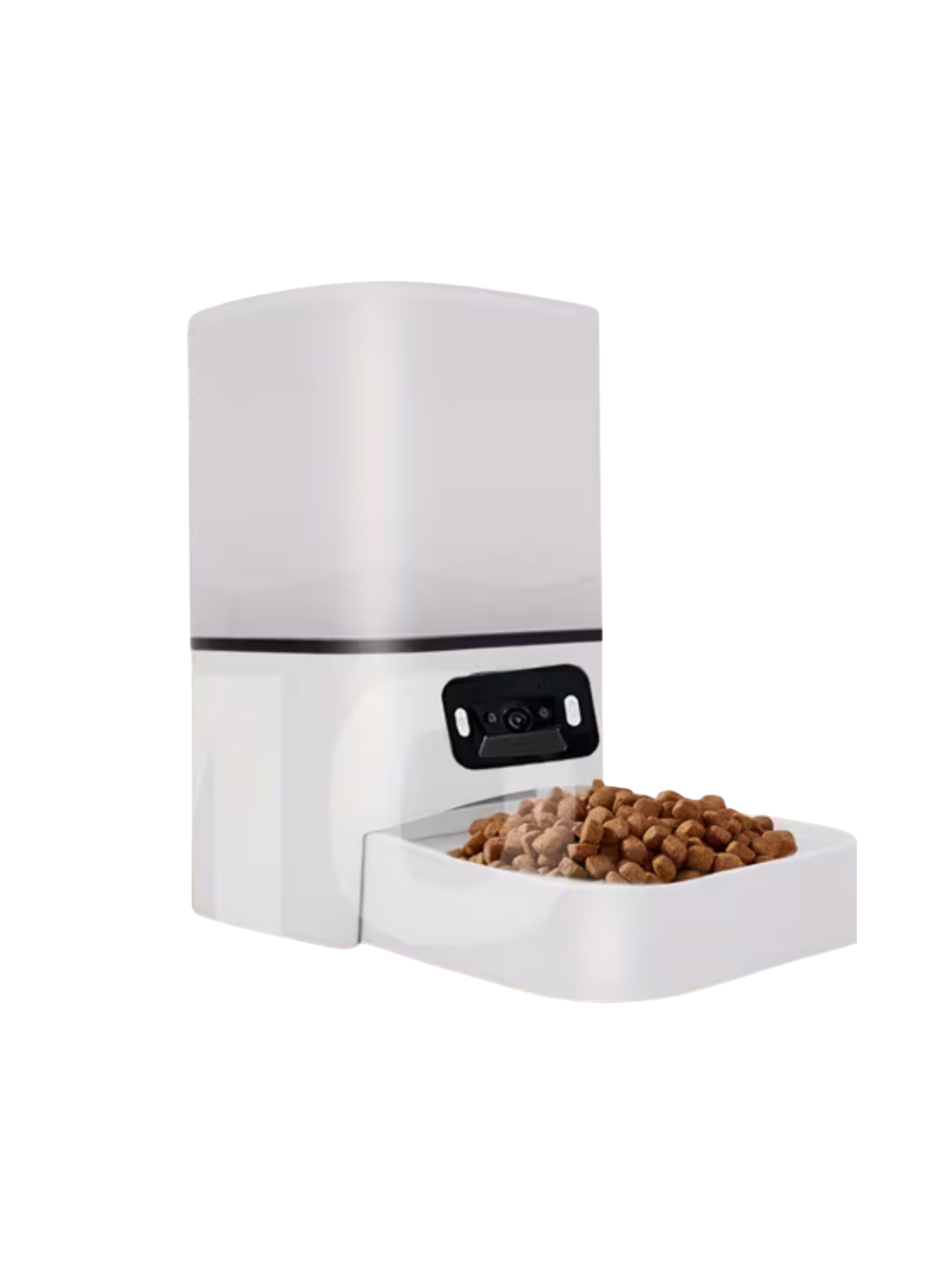 Pet Harness and Leash Set with Bold Bowtie