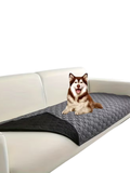 Cat & Dog Sofa Cushion