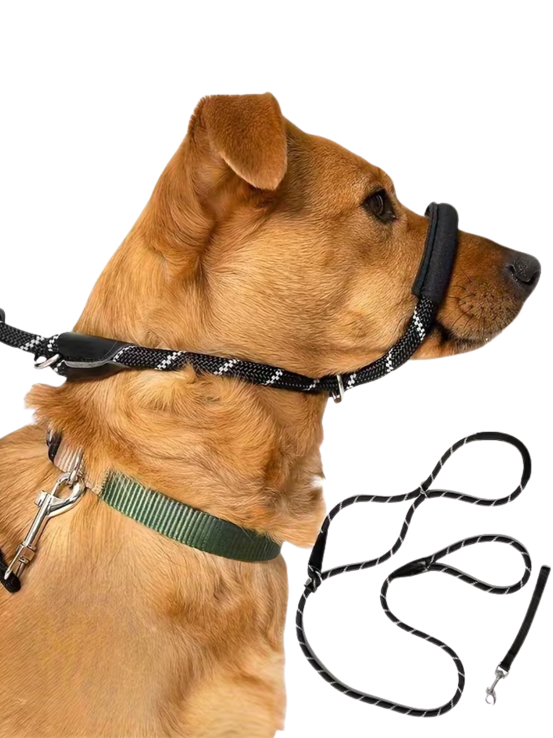 Anti-Pull Dog Leash with Padded Nose Strap