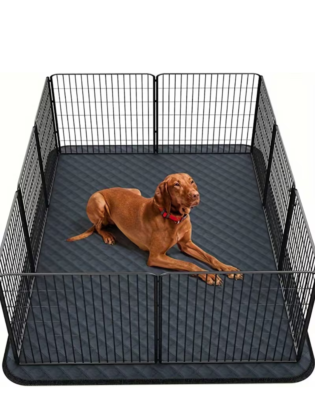 Leakproof Non-Slip Dog Mat