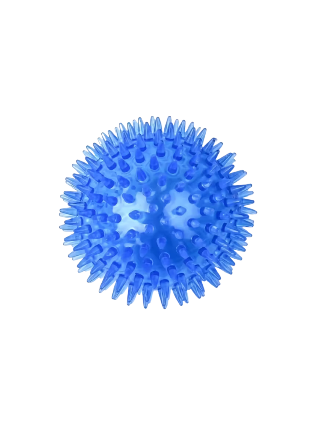 Squeaky Spikey Dog Ball Toy