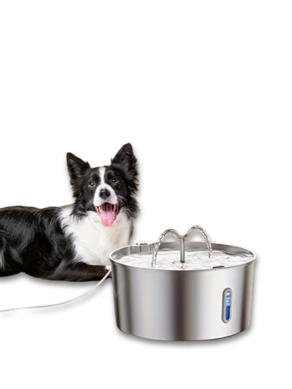 Smart Dog Water Dispenser