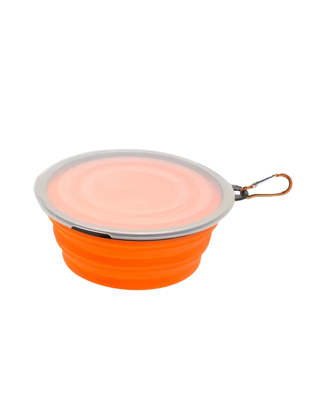 Collapsible Dog Bowls