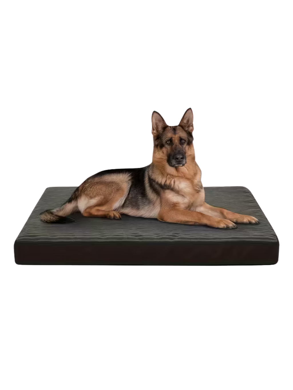 Orthopedic Dog Bed for Large Dogs