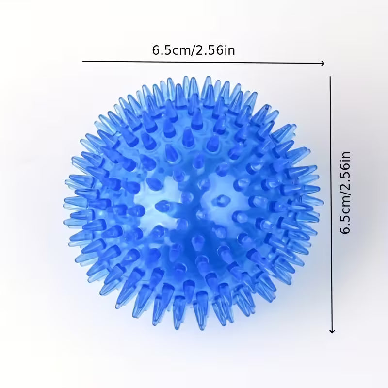 Squeaky Spikey Dog Ball Toy
