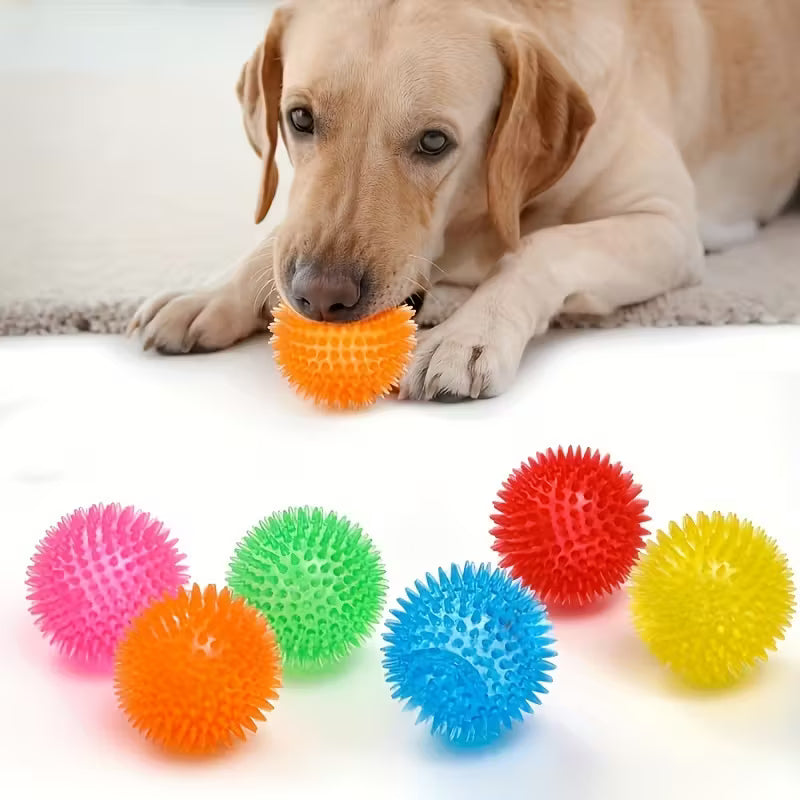 Squeaky Spikey Dog Ball Toy