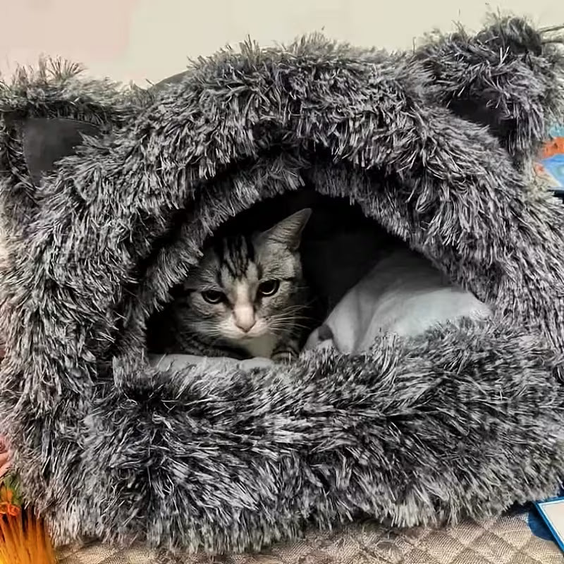 Winter Cat House – Warm & Comfortable Hideaway for Cats