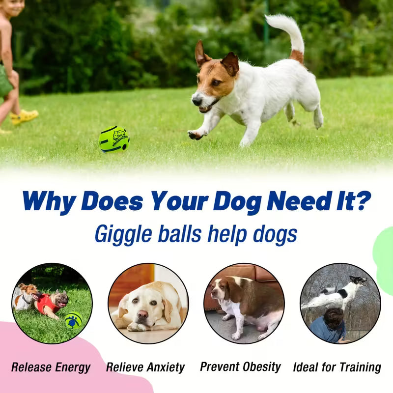 Pet Voice Ball