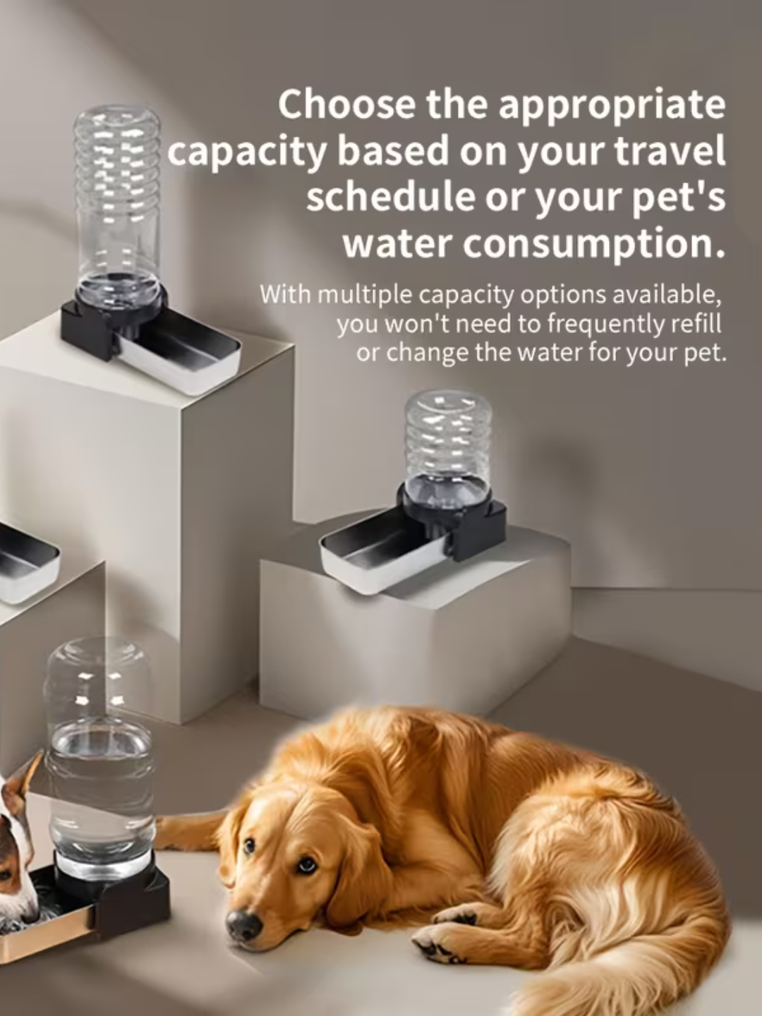 Pet Gravity Water Dispenser