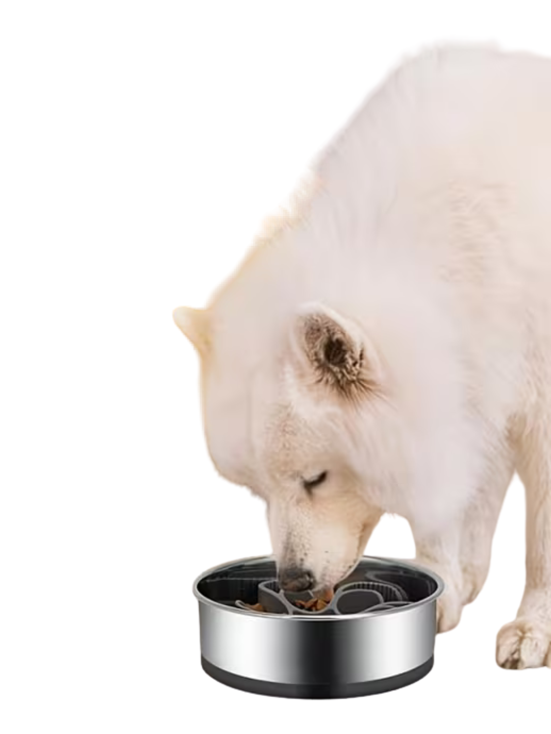2-in-1 Slow Feeder Dog Bowls