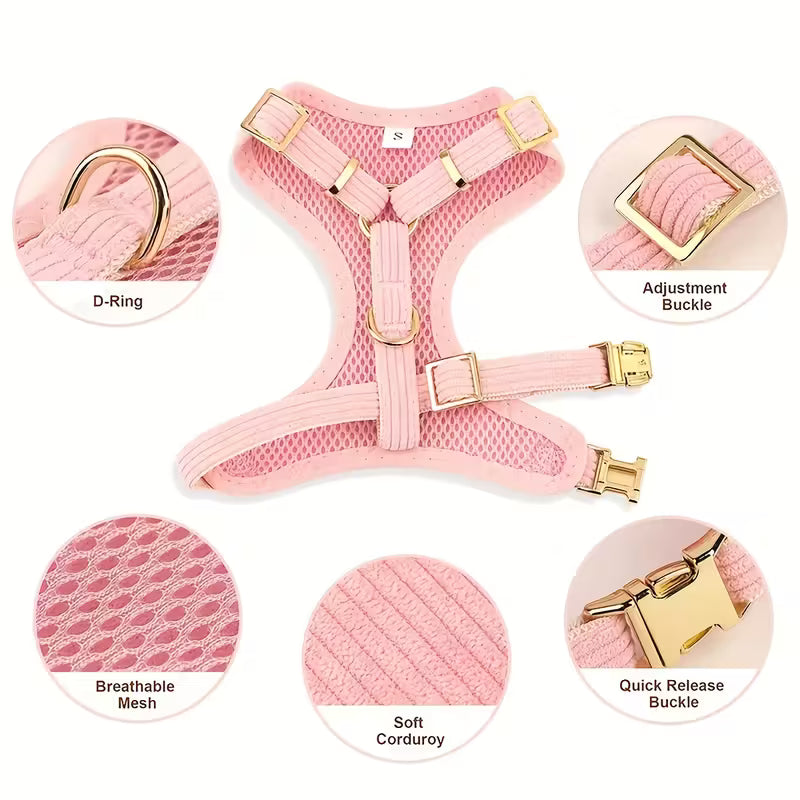 Cat Bow Collar Harness Set with Leash