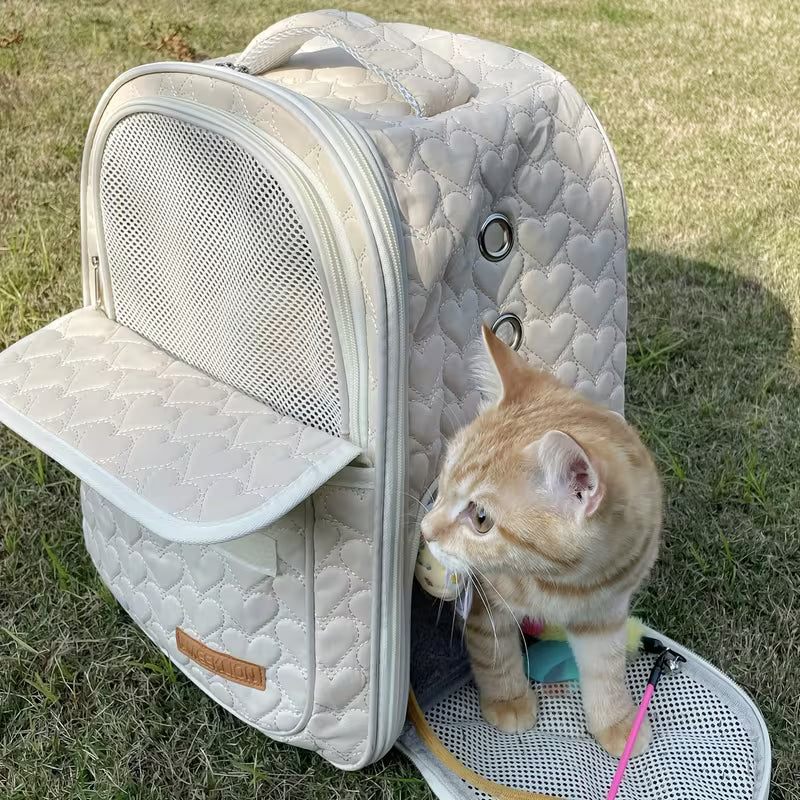 AMEEKLION Pet Backpack for Cats – Portable Travel Carrier