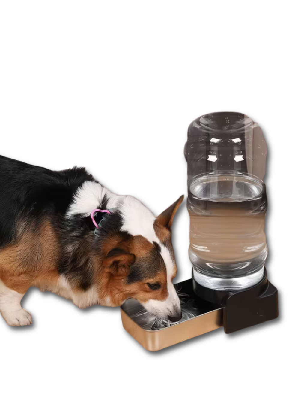 Pet Gravity Water Dispenser