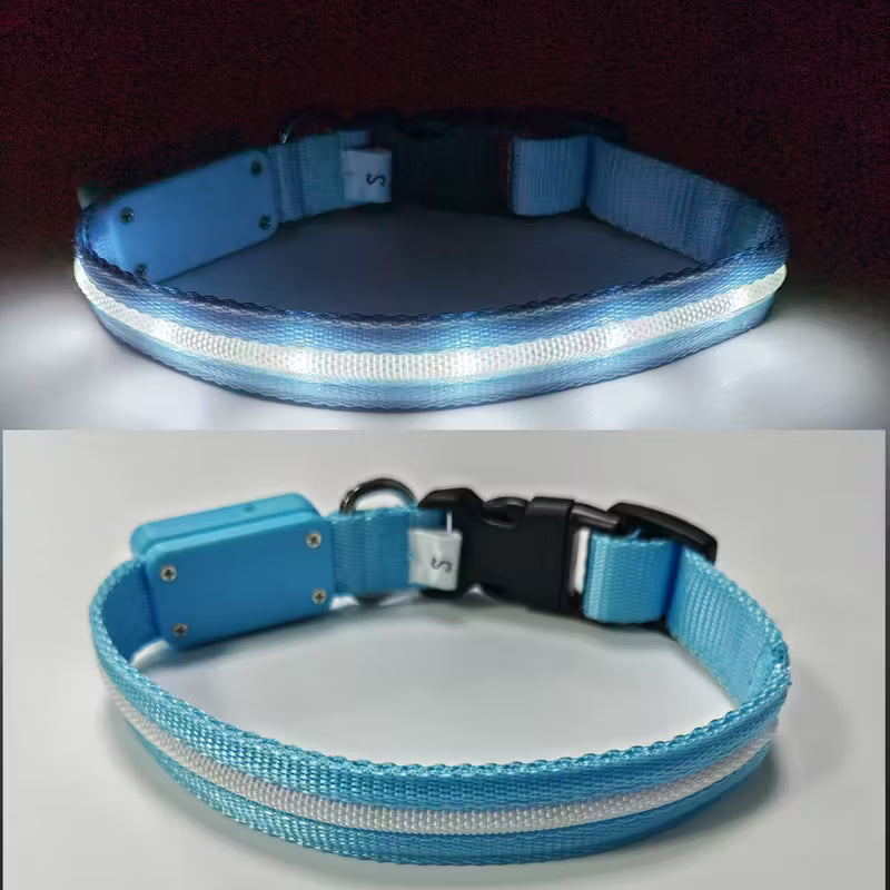 Visible Rechargeable LED Pet Collar