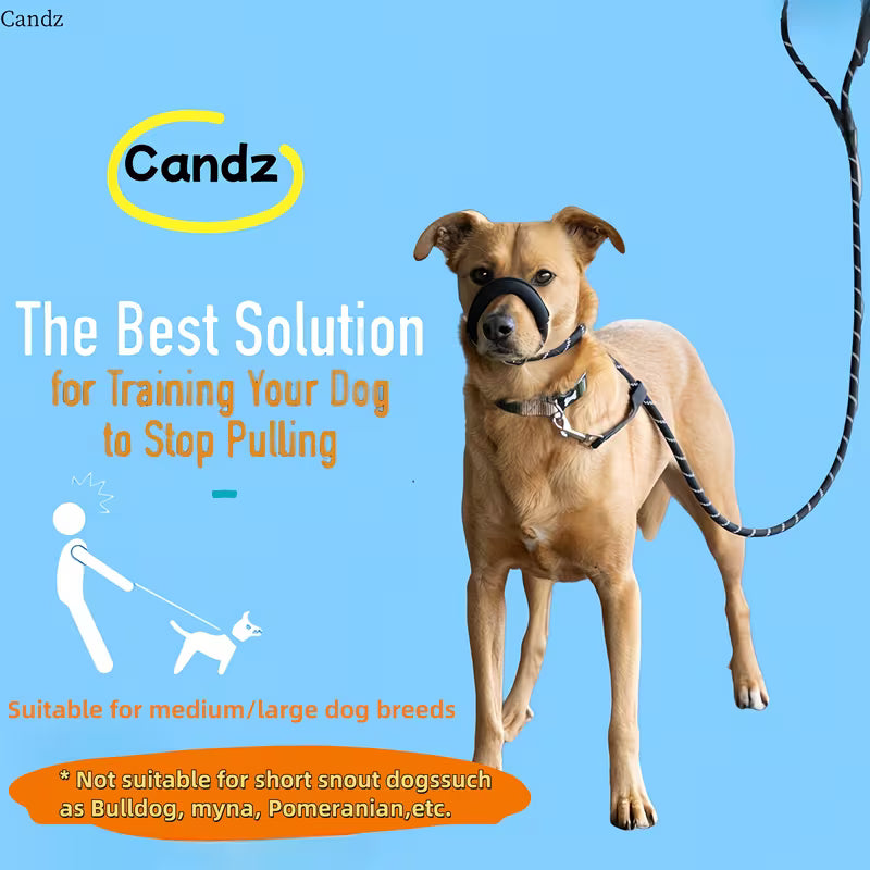 Anti-Pull Dog Leash with Padded Nose Strap