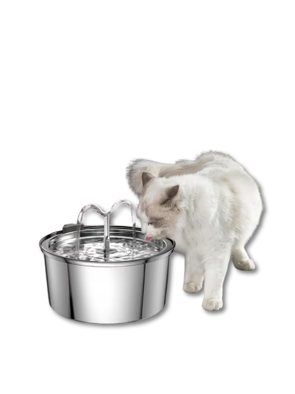 Smart Dog Water Dispenser