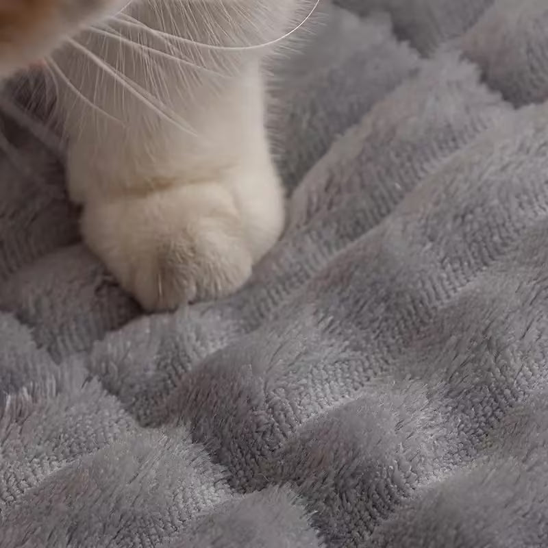 Dog Car Seat Cushion & Floor Liner