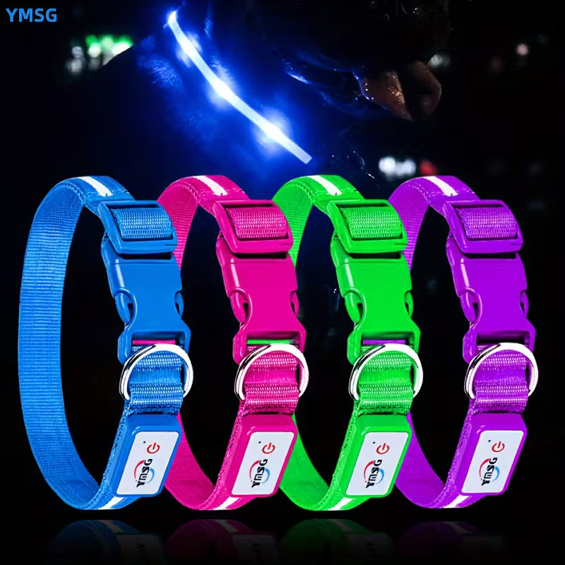 Visible Rechargeable LED Pet Collar