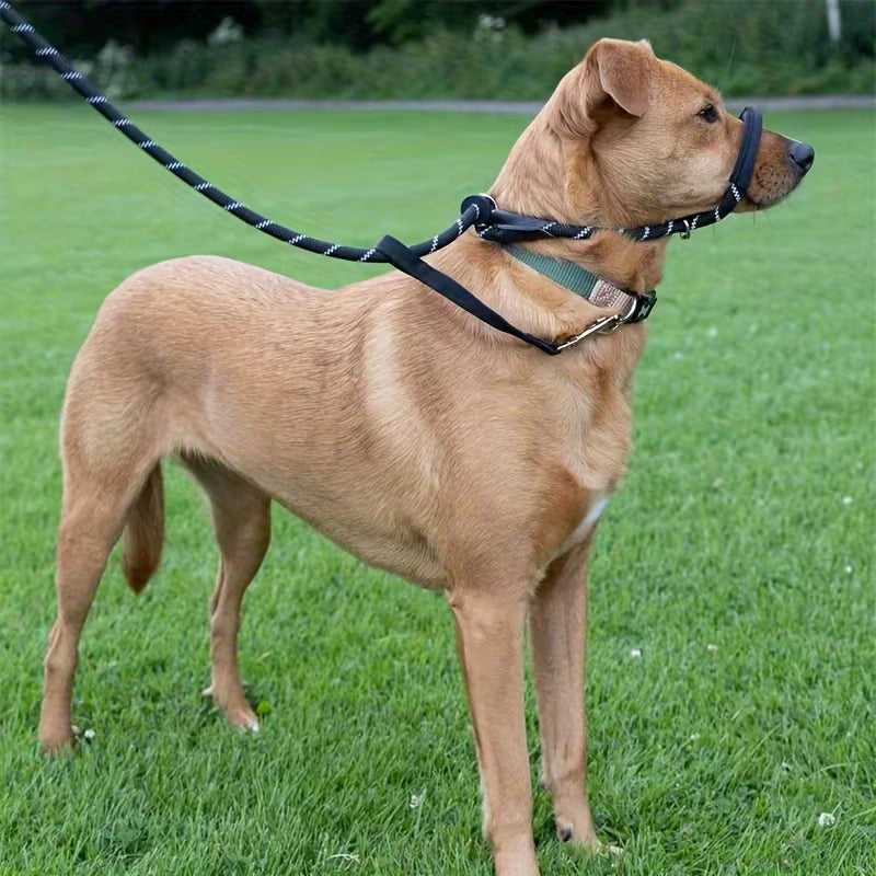 Anti-Pull Dog Leash with Padded Nose Strap