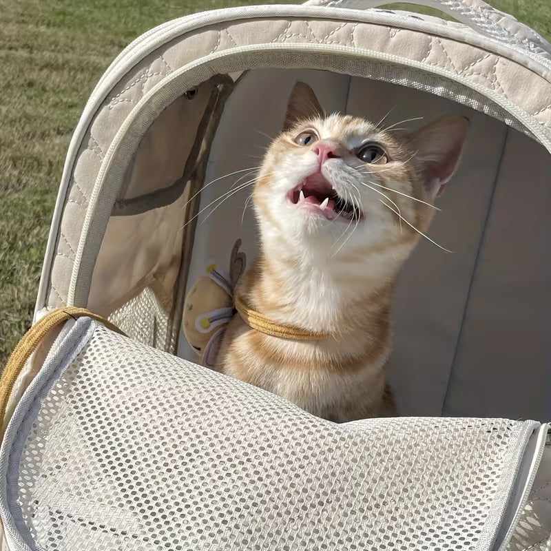 AMEEKLION Pet Backpack for Cats – Portable Travel Carrier