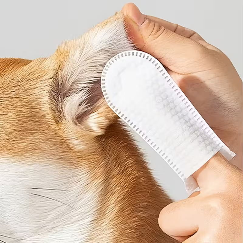 Disposable Pet Finger Toothbrush Set
