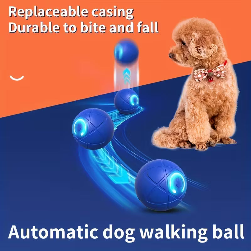 Interactive LED Pet Ball Toy