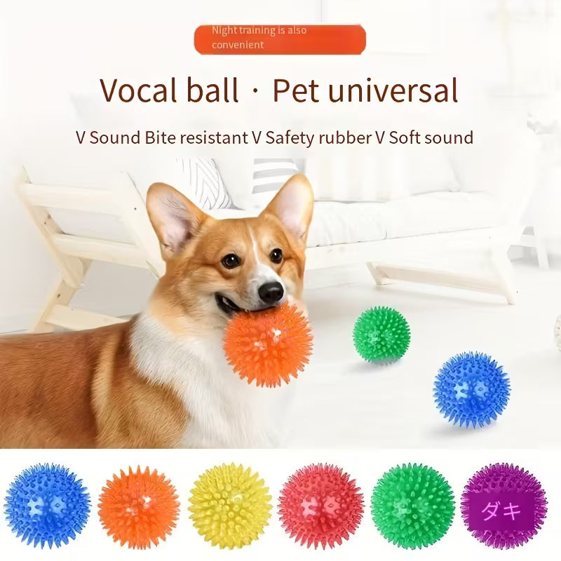 Squeaky Spikey Dog Ball Toy