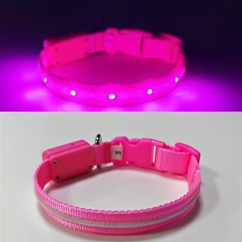 Visible Rechargeable LED Pet Collar