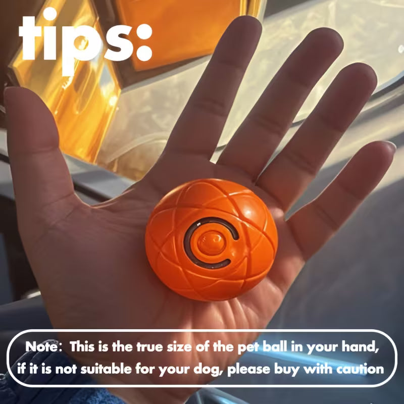 Interactive LED Pet Ball Toy