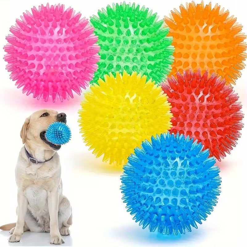 Squeaky Spikey Dog Ball Toy