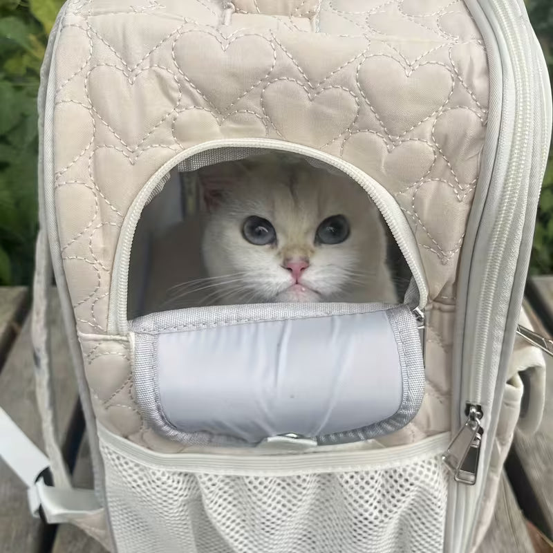 AMEEKLION Pet Backpack for Cats – Portable Travel Carrier