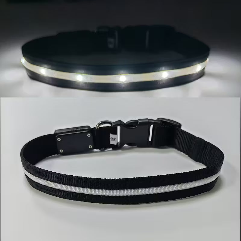 Visible Rechargeable LED Pet Collar
