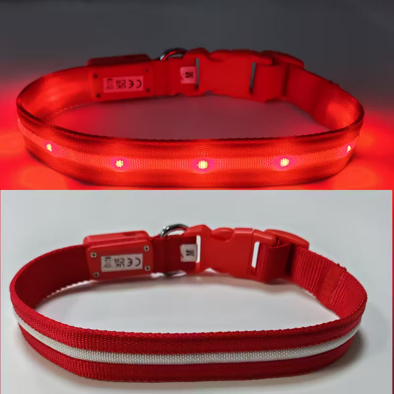 Visible Rechargeable LED Pet Collar