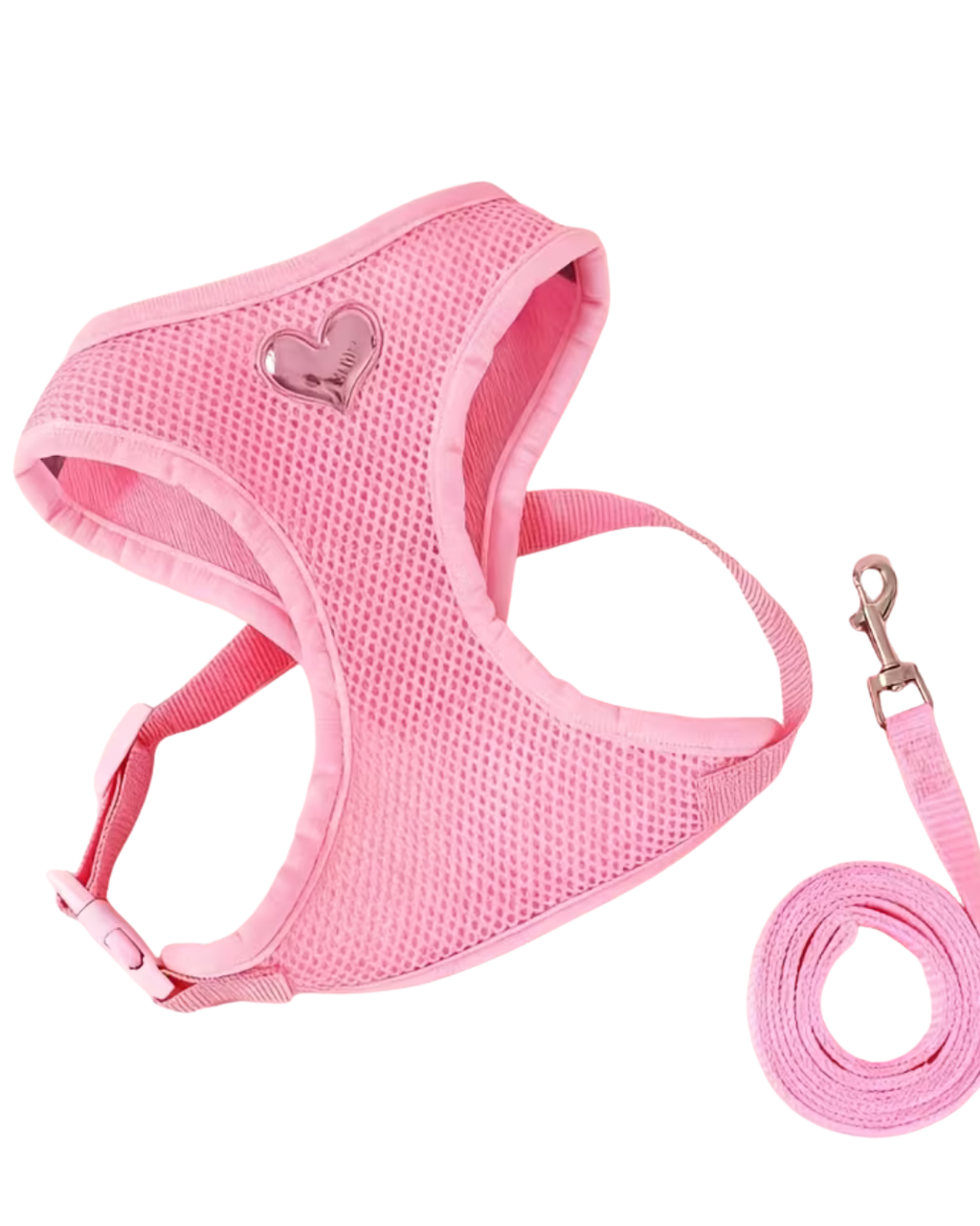 Cute Style Pet Harness Set