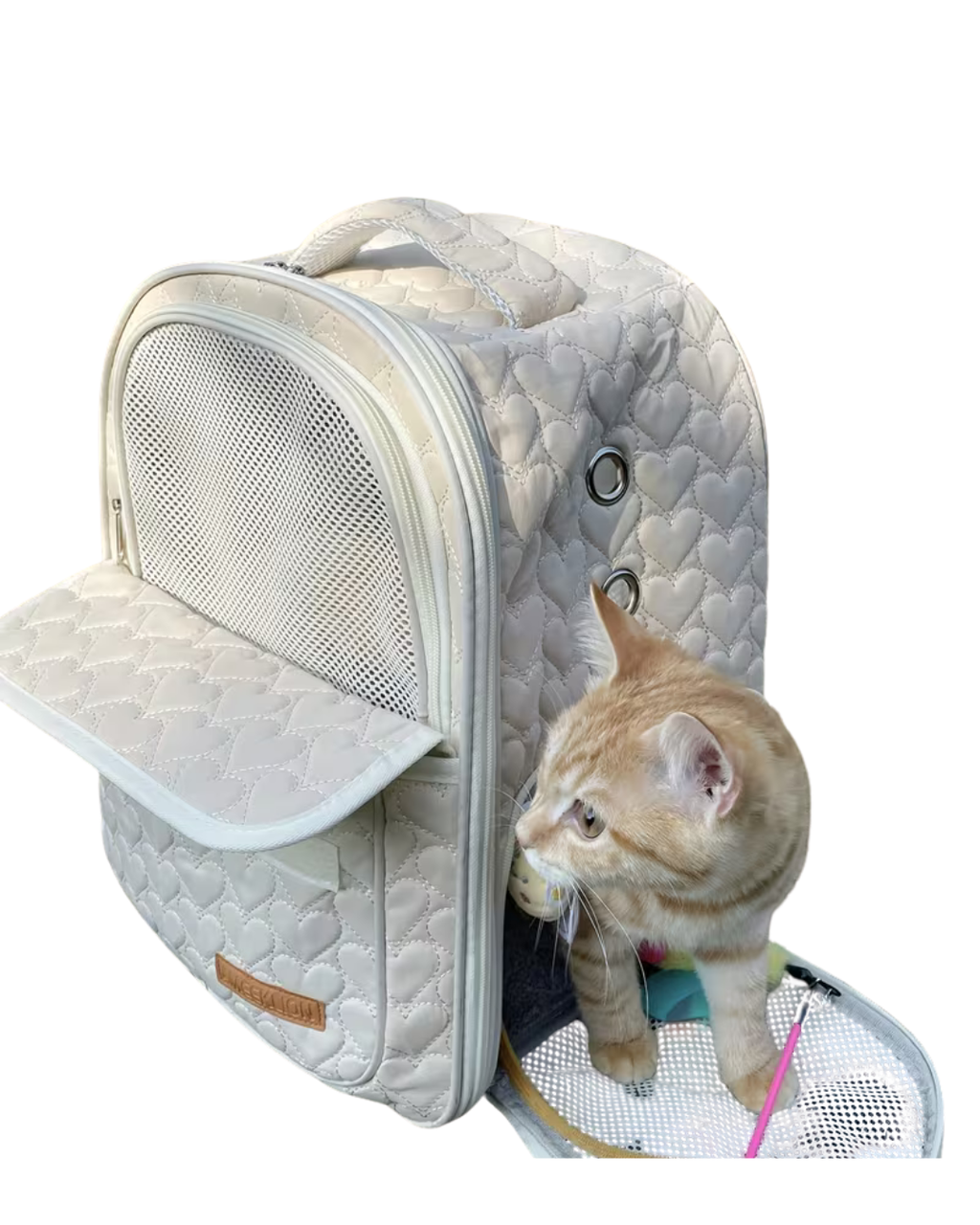 AMEEKLION Pet Backpack for Cats – Portable Travel Carrier