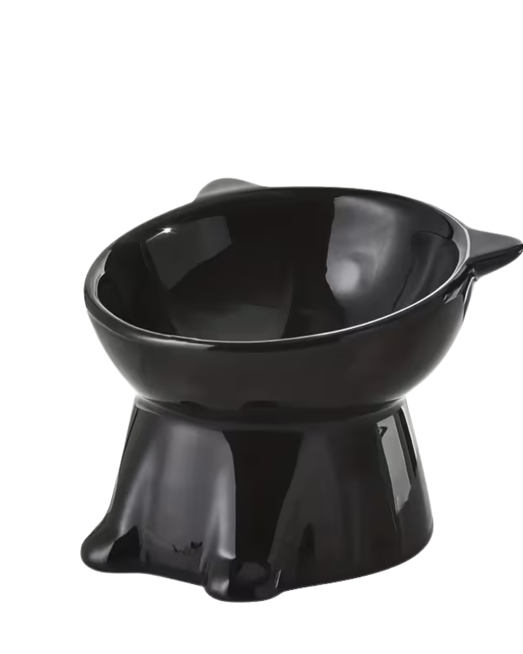Tilted Elevated Cat Bowl