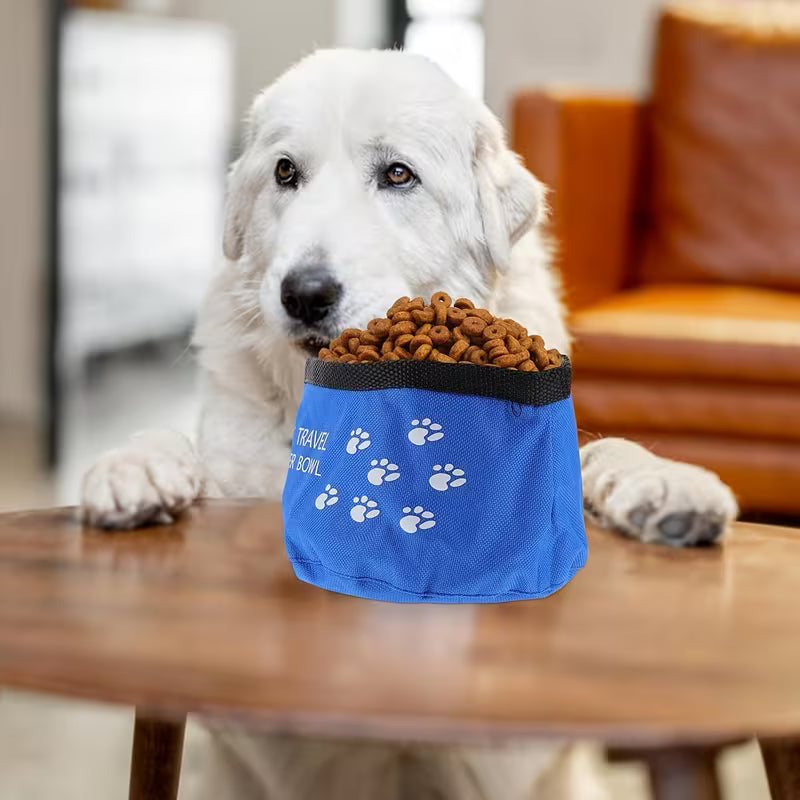 Foldable Dog Bowl