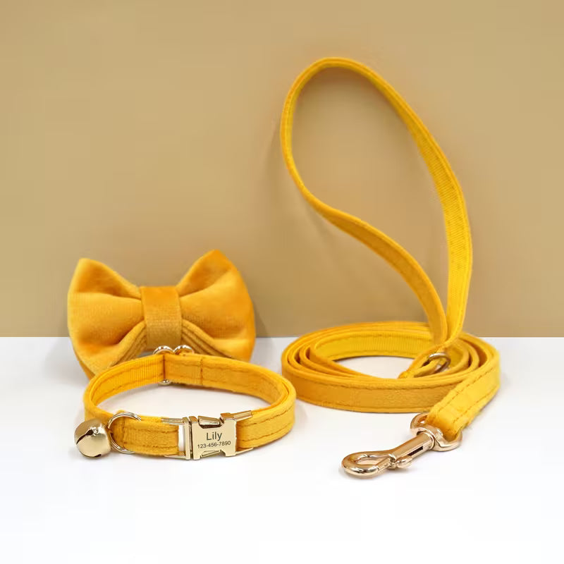 Cat Collar with Leash & Bow Tie
