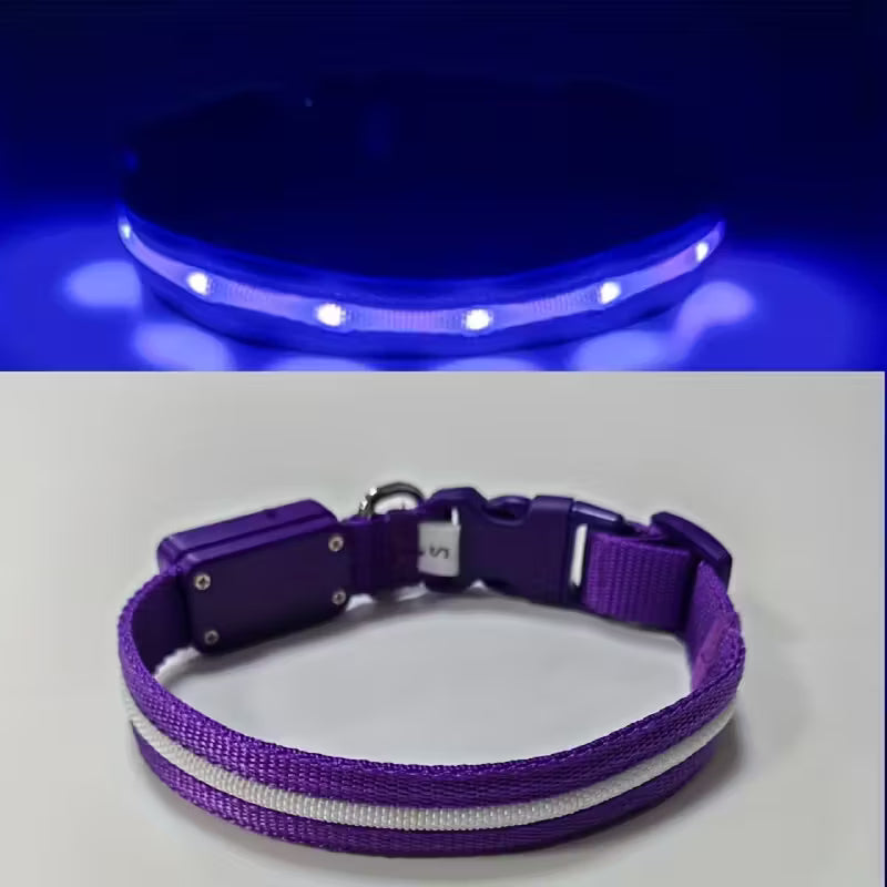 Visible Rechargeable LED Pet Collar