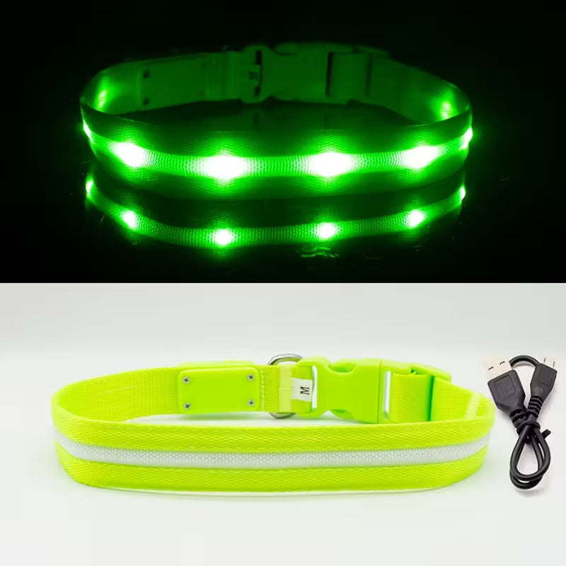 Visible Rechargeable LED Pet Collar