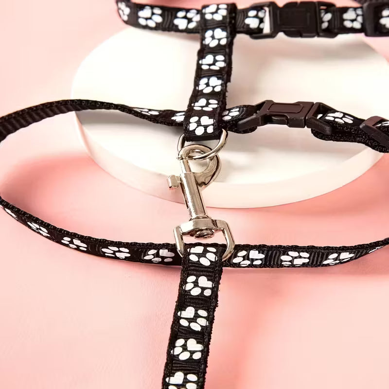 T-Shaped Anchor Chain Leash