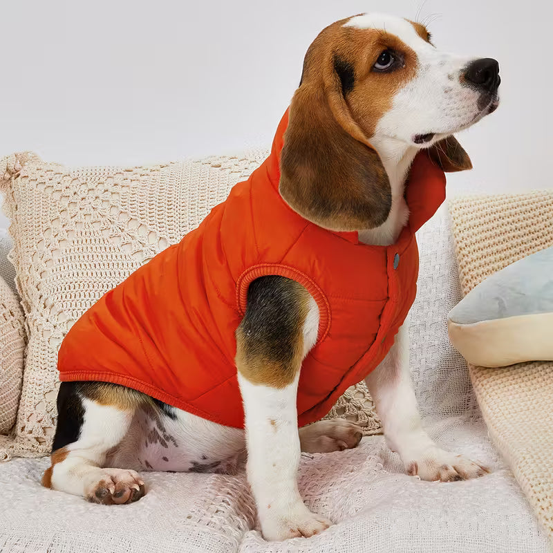 Pet Travel Line Coat