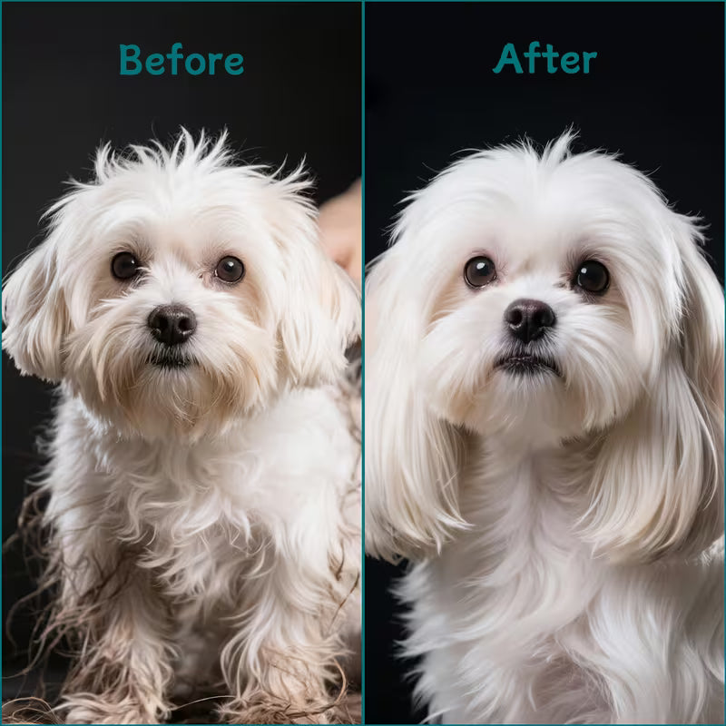 Flea & Lice Comb Set