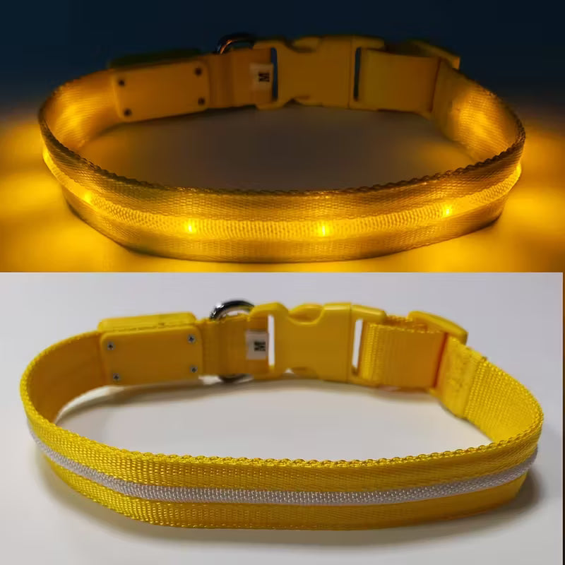 Visible Rechargeable LED Pet Collar