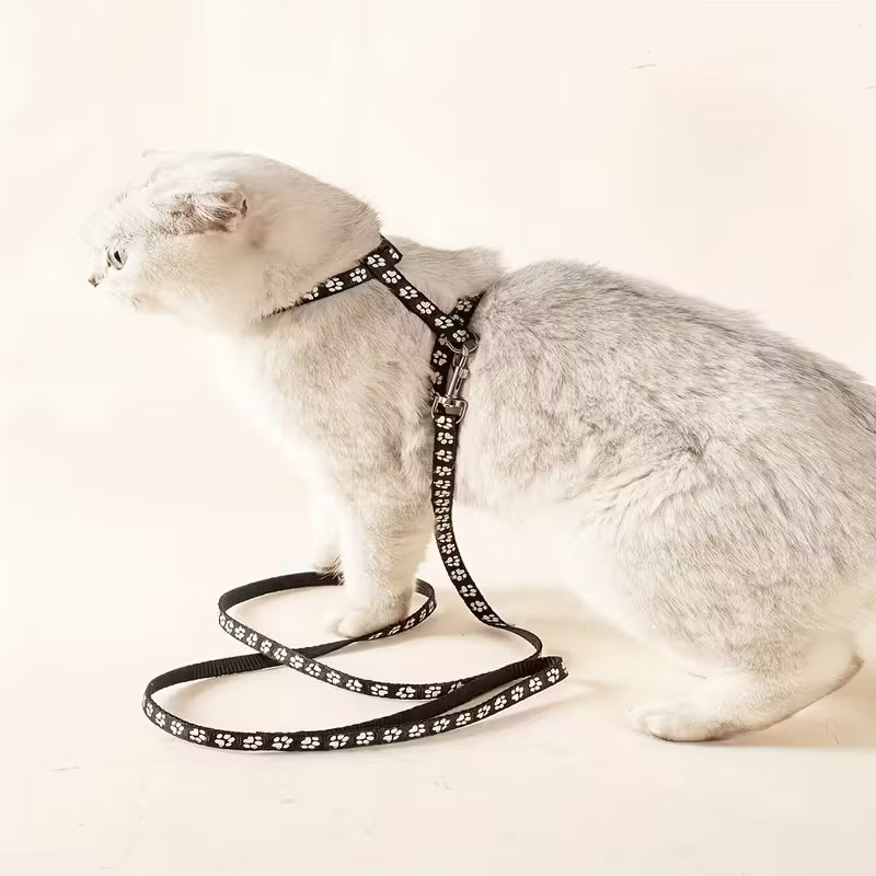 T-Shaped Anchor Chain Leash