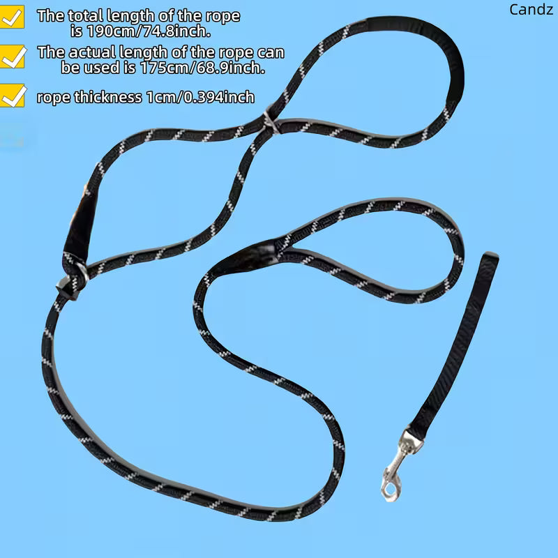 Anti-Pull Dog Leash with Padded Nose Strap