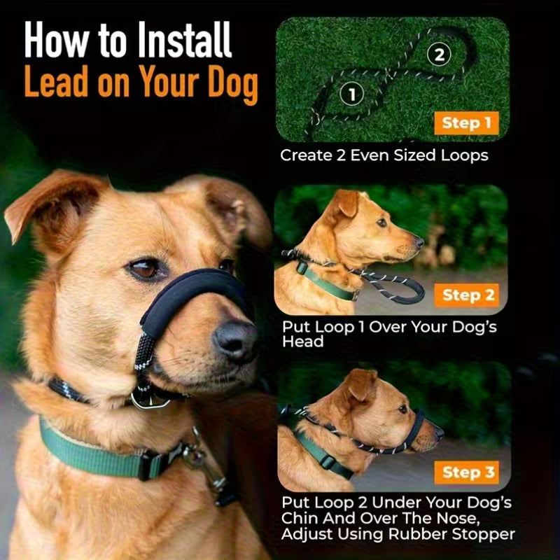 Anti-Pull Dog Leash with Padded Nose Strap
